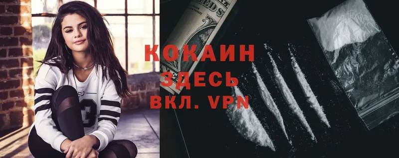 Cocaine Fish Scale  закладки  Магадан 